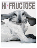 Hi-Fructose - Volume 26